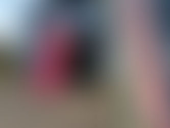 本日の直売所9月27日(火)