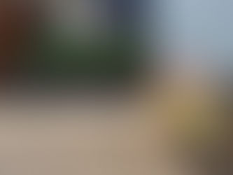 本日の直売所9月9日(金)