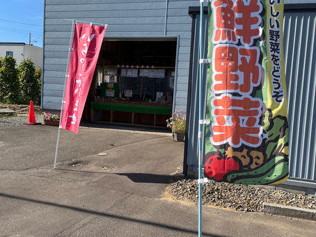 本日の直売所9月8日(木)