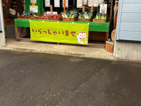 本日の直売所8月8日(土)