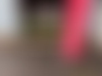 本日の直売所8月20日(土)