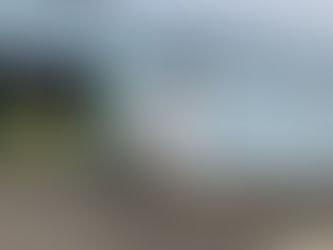 直売所7月20日(日)