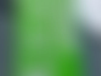 本日の直売所7月30日(日)