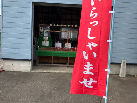 本日の直売所8月9日(水)