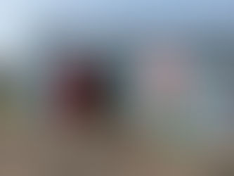 本日の直売所7月17日(水)