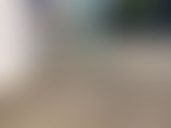 直売所8月11日(土)