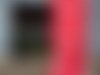 本日の直売所7月27日(木)