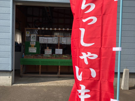 本日の直売所7月27日(木)