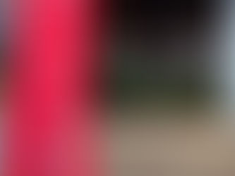 本日の直売所7月29日(土)