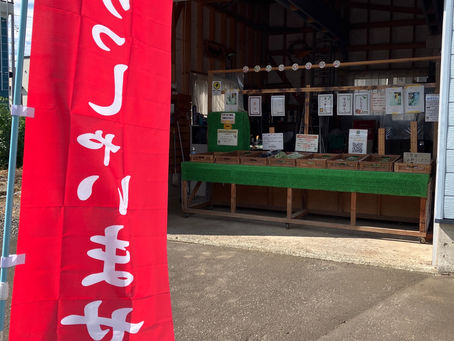 本日の直売所7月29日(土)
