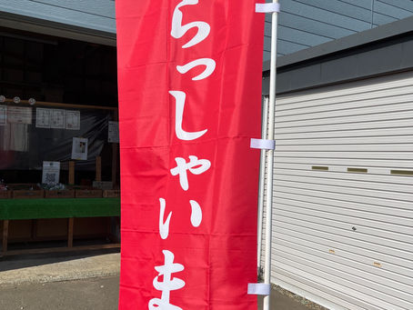本日の直売所8月13日(土)