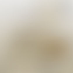 【頂級緩震山鞋New Balance Fresh Foam X Hierro v7】