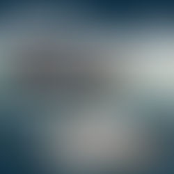 New Balance旗艦級全地型山鞋Fresh Foam X Trail More v2