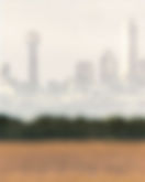 Damn Dallas Facebook Cover Photo_edited_edited.jpg
