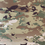 Thumbnail: MILITARY