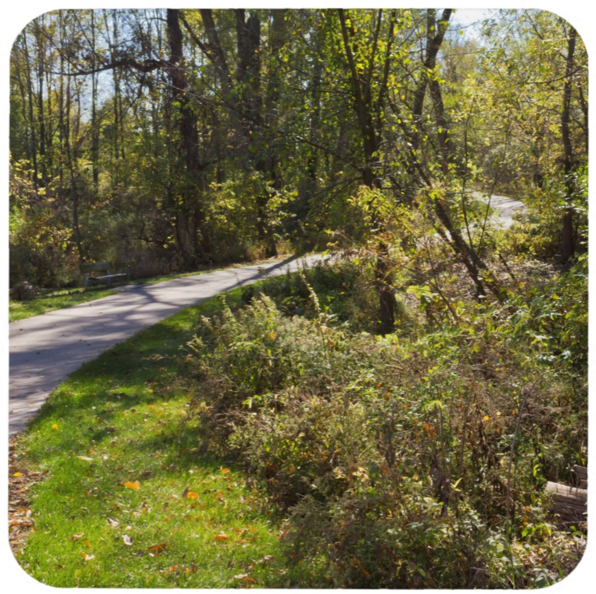 Nature Trail Pathway