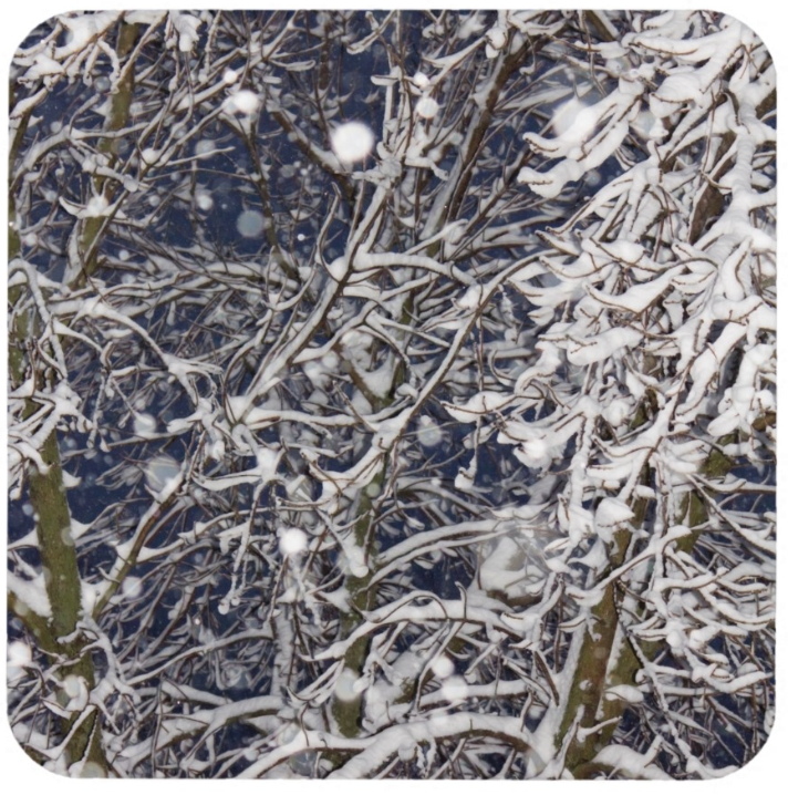 Blizzard Tree