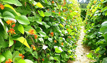 P1140937_edited.jpg