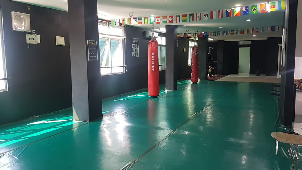 MTI Indonesia