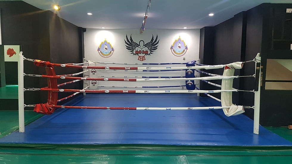 MTI Indonesia