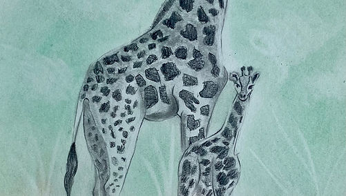 Giraffe Mother & Calf