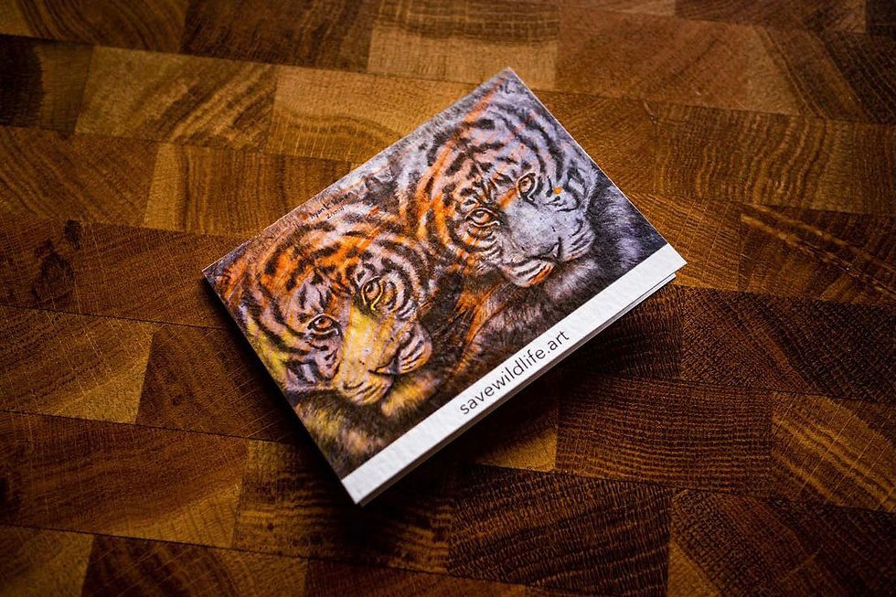 Thumbnail: Malayan Tiger Twin Face