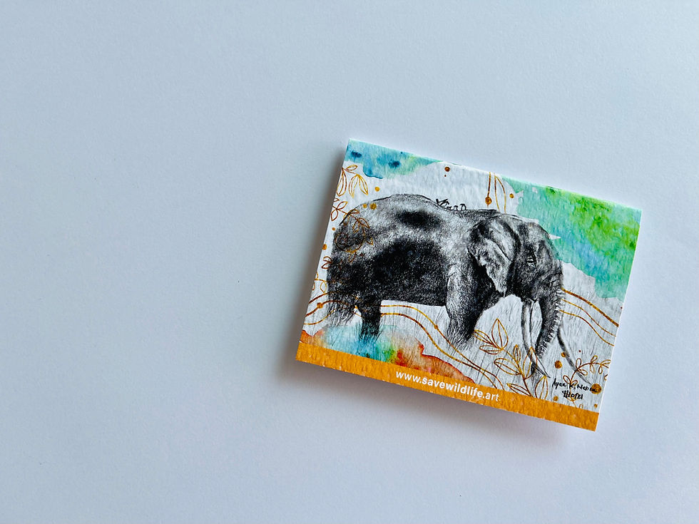 Amboseli Elephant Multicolored (Set of 8)