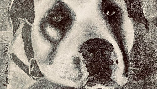 Another Version of Bruce