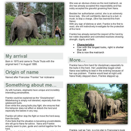 Adopted another elephant! 