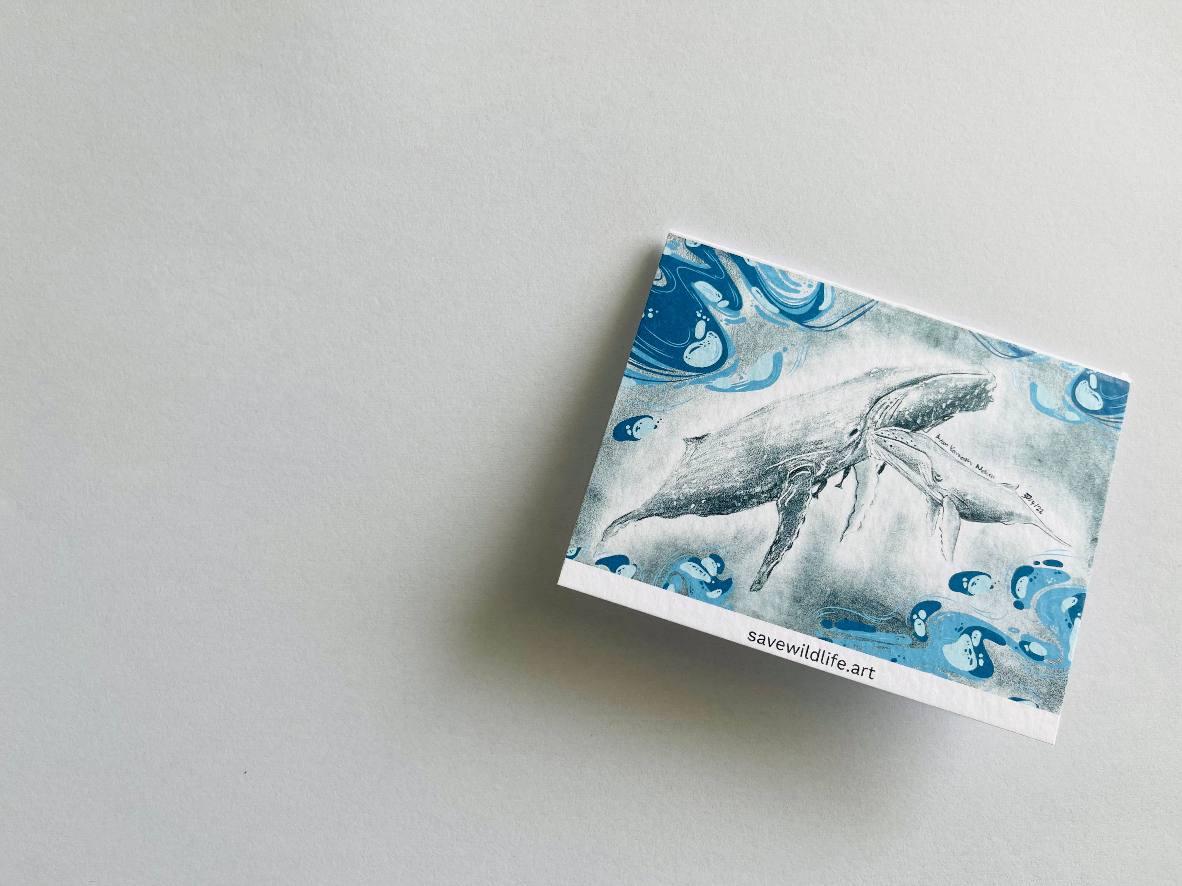 Humpback Whale & Calf