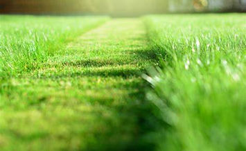 Mowing and Lawncare