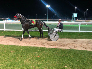A huge night for locals at Swan Hill Trots