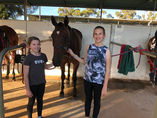 Bendigonians clean up at Swan Hill trots !