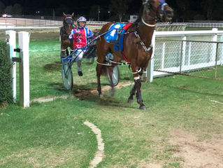 Burnaholeinmypocket  cruises  to  victory  in  Swan  Hill