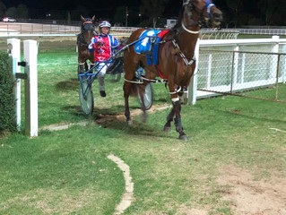 Burnaholeinmypocket cruises to victory in Swan Hill