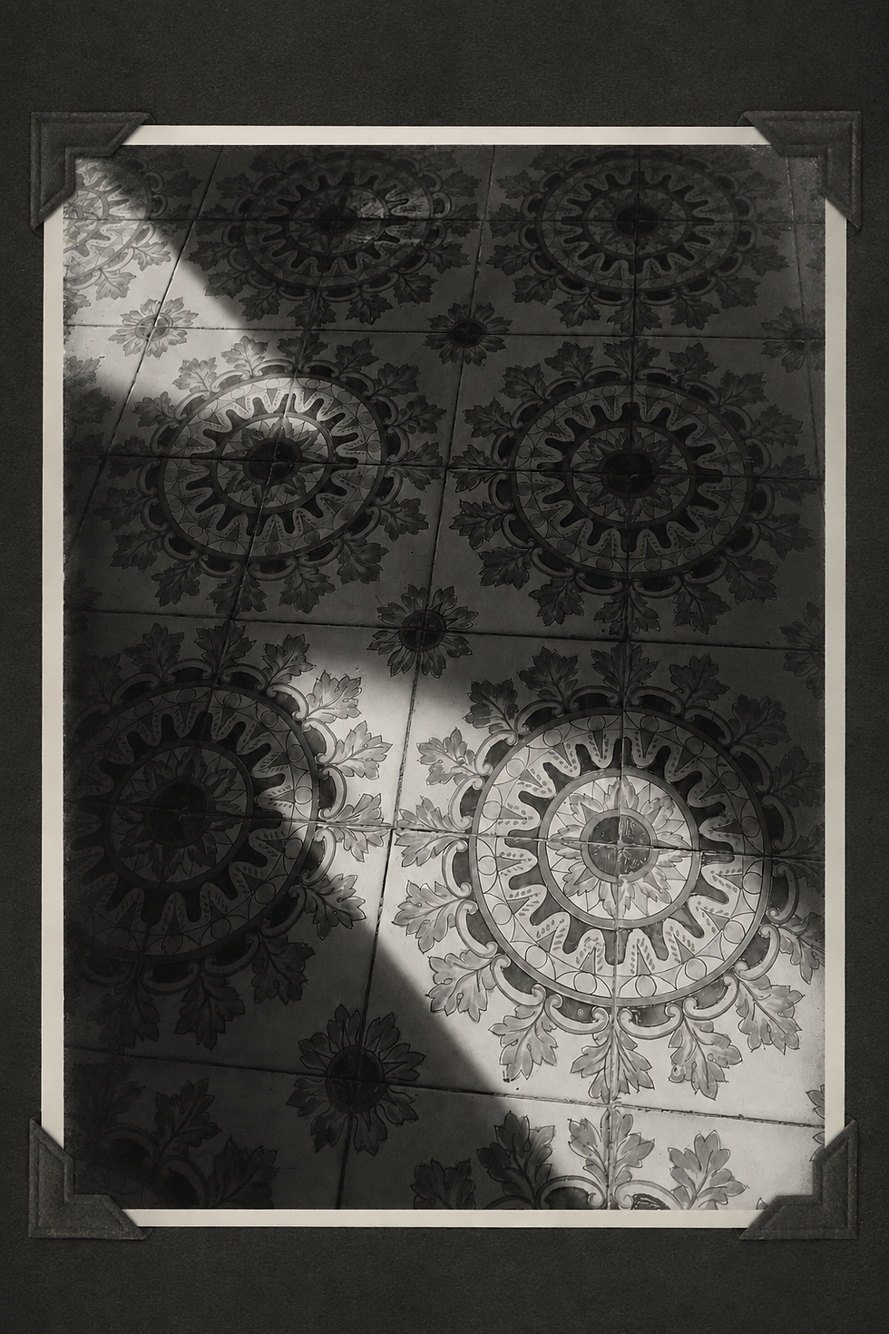 84f1ad7f-6a21-4ffb-8b59-4e60eed8e665.png