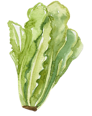 Untitled design (93).png