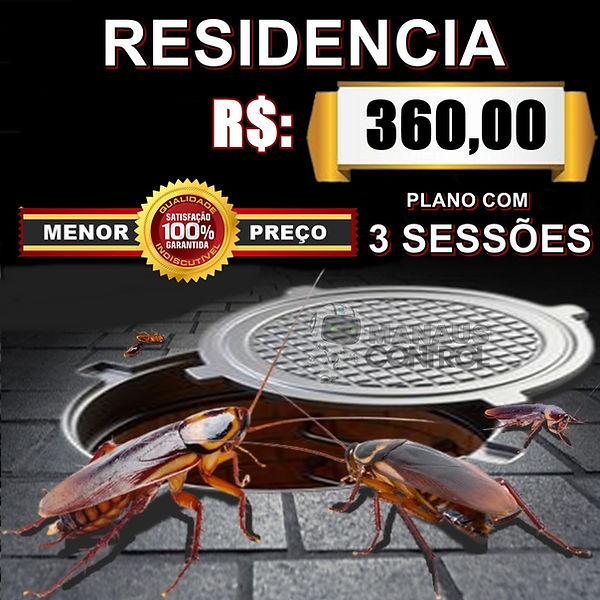 baratas saindo do esgoto, anuncio de dedetização