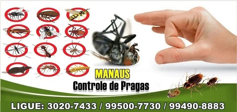 um flayer contendo imagens de baratas, formigas, cupins, ratos, mosquitos e o nome da empresa