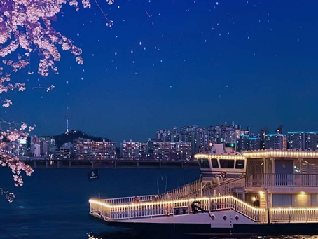 Les cerisiers en fleur sur la rivière Han à Séoul