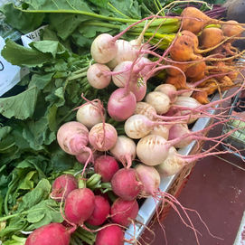 Sobre Agricultura Orgânica.