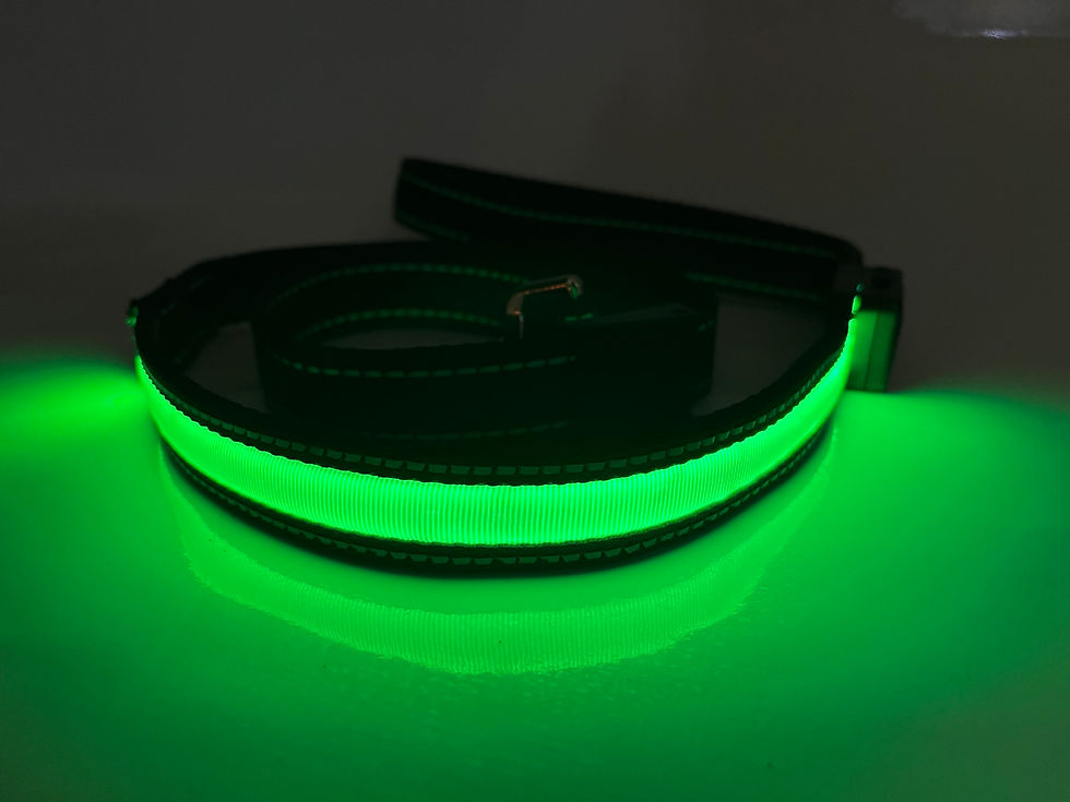 Thumbnail: LED Flashing Dog Lead in GREEN