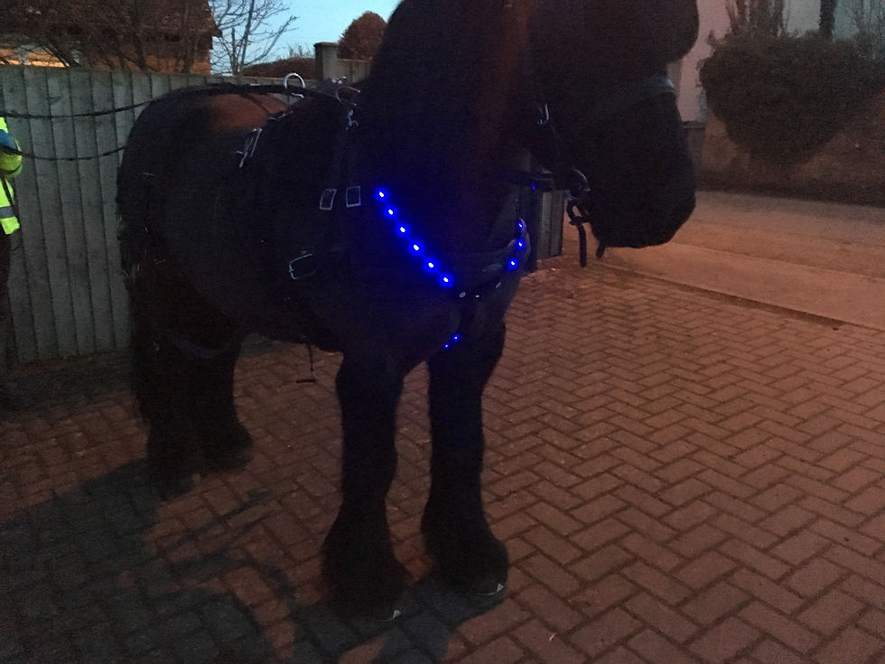 Thumbnail: LED Breastplate in BLUE