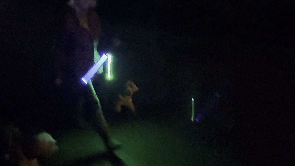 Thumbnail: LED Flashing Dog Lead in GREEN