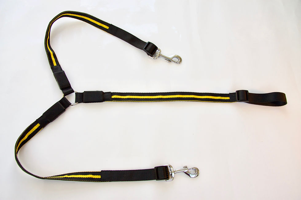 Thumbnail: LED Breastplate in YELLOW