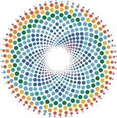 Holographic Kinetics