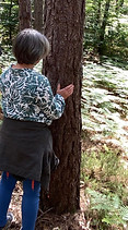 Connexion aux arbres lors d'une séance de sylvothérapie ou bain de forêt