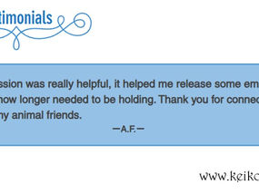 My recent client testimonial for Soul Level Animal communication®.