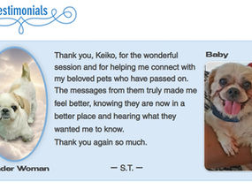 ALT text: “Testimonial graphic featuring two small dogs named Wonder Woman and Baby. The centered testimonial reads: ‘Thank you, Keiko, for the wonderful session and for helping me connect with my beloved pets who have passed on. The messages from them truly made me feel better, knowing they are now in a better place and hearing what they wanted me to know. Thank you again so much. — S.T.’ Wonder Woman is shown in a soft cloud-themed portrait on the left, while Baby is pictured smiling on the right. The website [www.keikowatt.com](http://www.keikowatt.com) appears at the bottom.”
