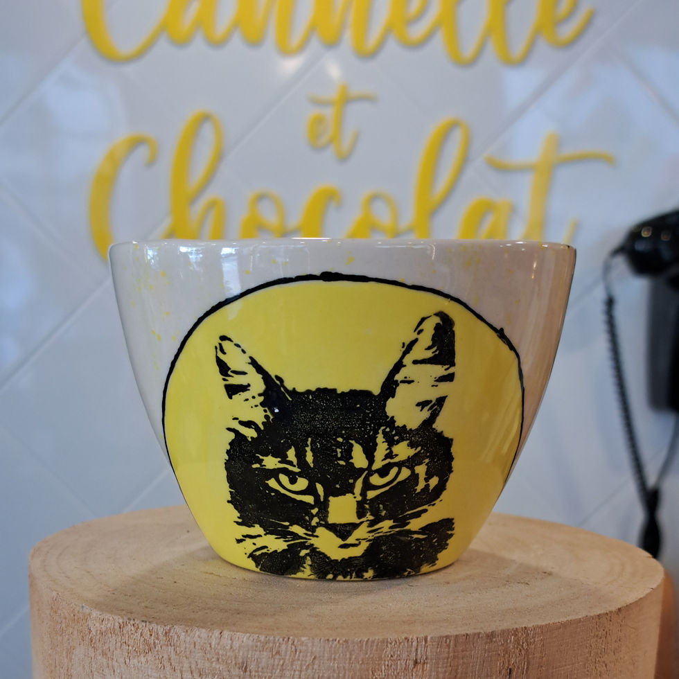 Bols animaux en faïence